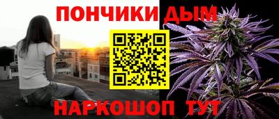 крисы Абакан