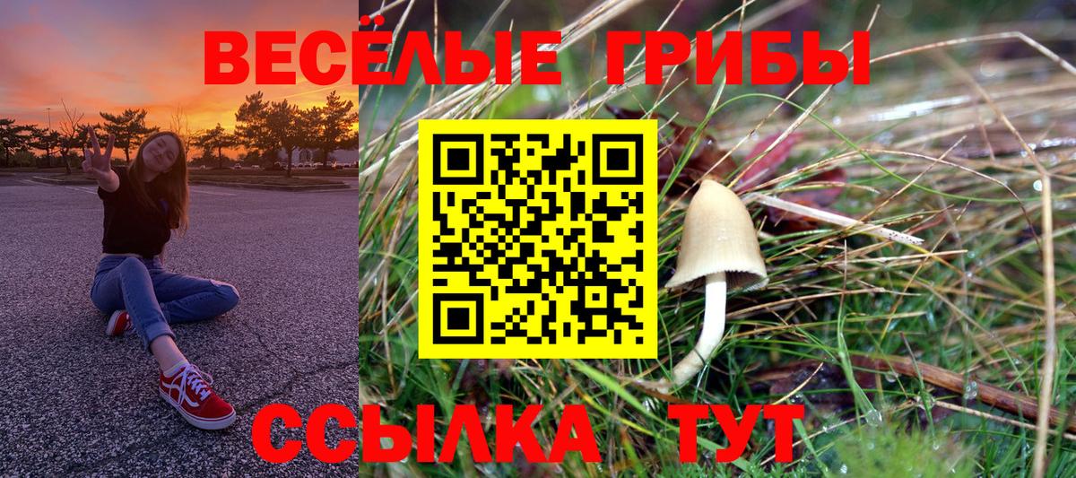 Галлюциногенные грибы прущие грибы  Вход с VPN  Уварово 